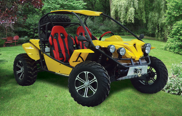 Vimex - Buggy 1100